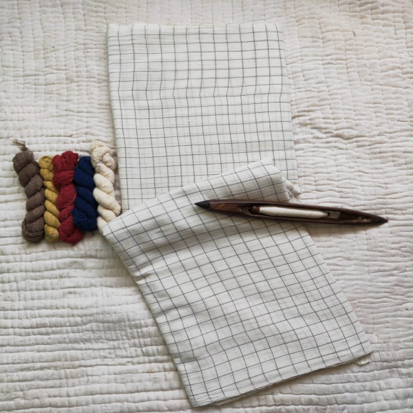 Fabric white blue checks